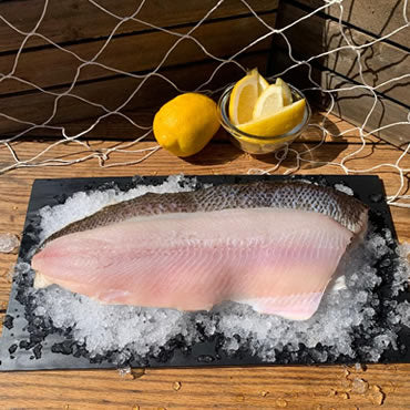 Fresh Whitefish Fillets
