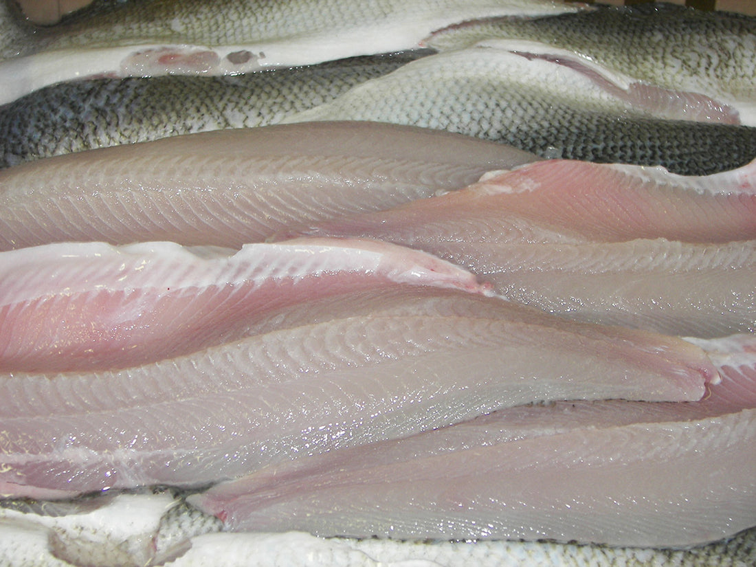 Massey Fish Company